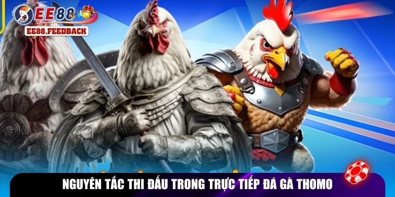 Nguyên tắc thi đấu trong trực tiếp đá gà Thomo