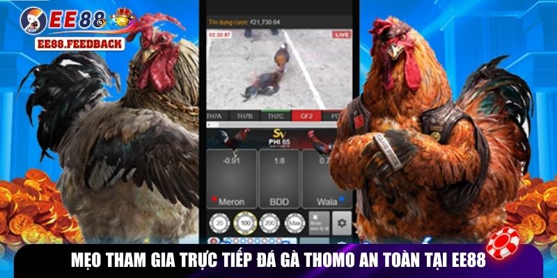 Mẹo tham gia trực tiếp đá gà Thomo an toàn tại EE88